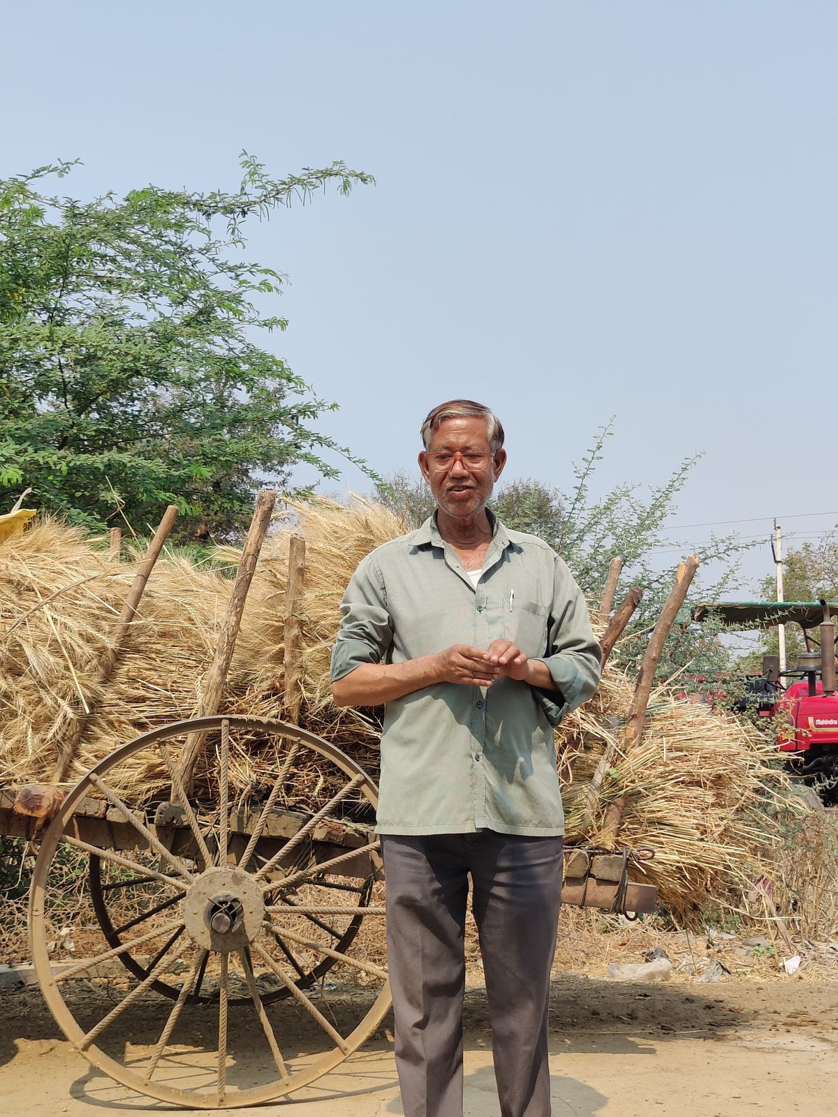 Manik Debnath, Rohit's father, standing before a hay-laden bullock cart on the family farm