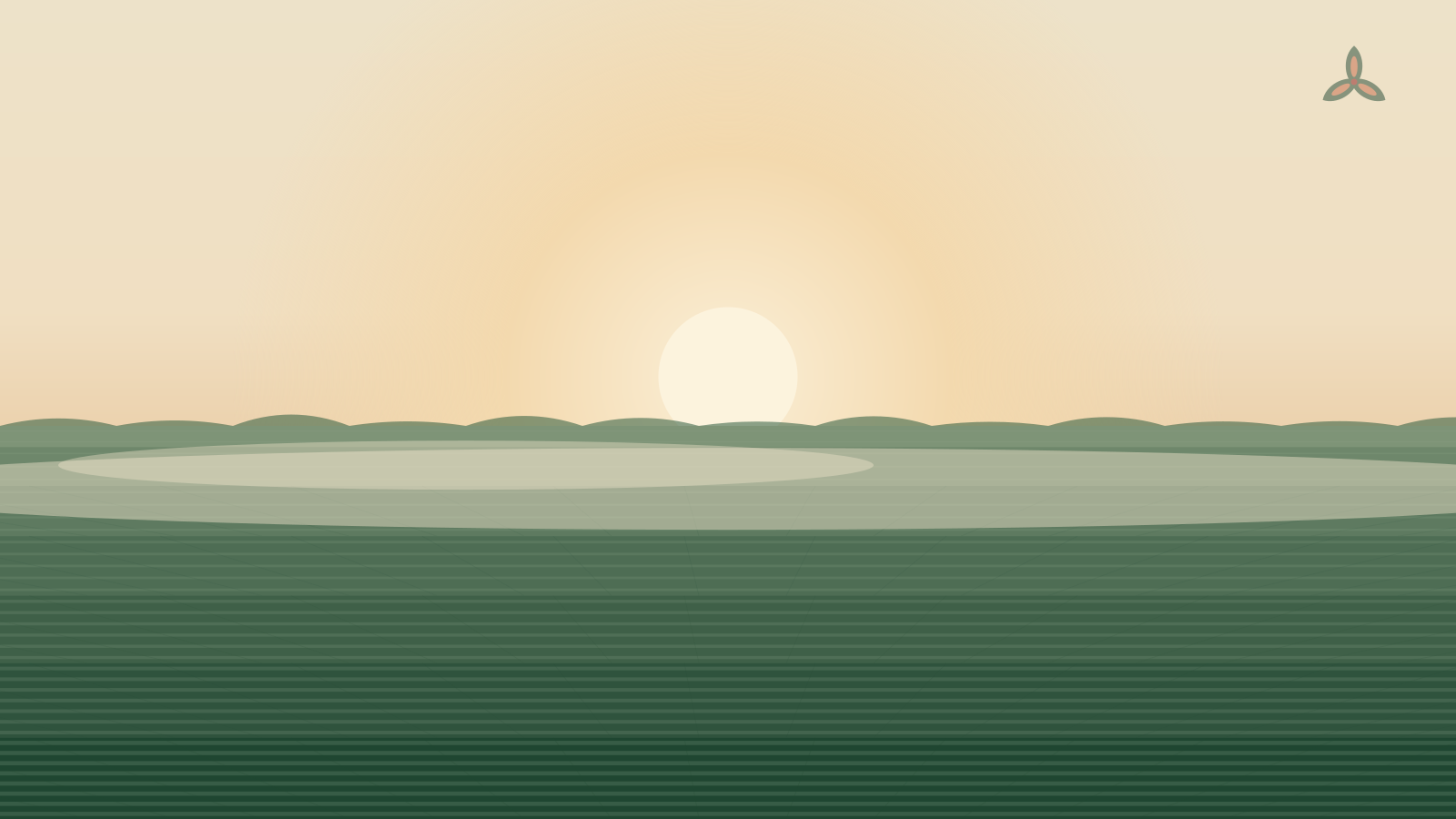 Vidarbha paddy fields at dawn, on the Debnath family's eighteen-acre farm